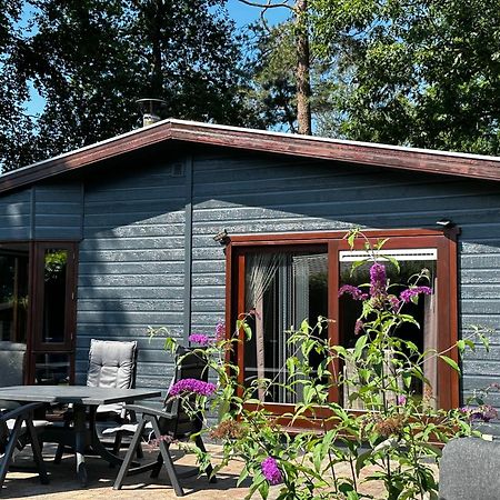 Dubbele Chalet Op Recreatiepark Topparken Op De Veluwe In Beekbergen Met Grote Vrije Tuin En Eigen Parkeerplaats Exterior foto
